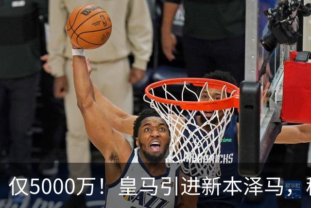仅5000万！皇马引进新本泽马，穆帅4231战术升级，瞄准西甲欧冠双冠