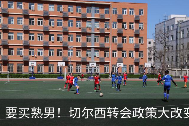 要买熟男！切尔西转会政策大改变 想引进35岁维尔贝克